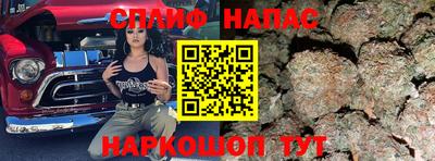 амф Камышлов