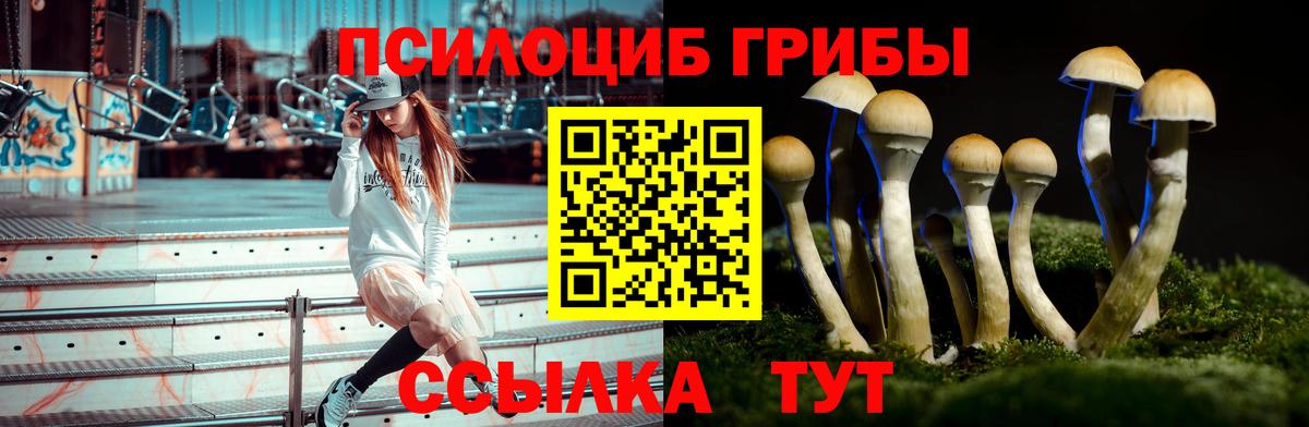 Галлюциногенные грибы Magic Shrooms  Вход с VPN  Луга 